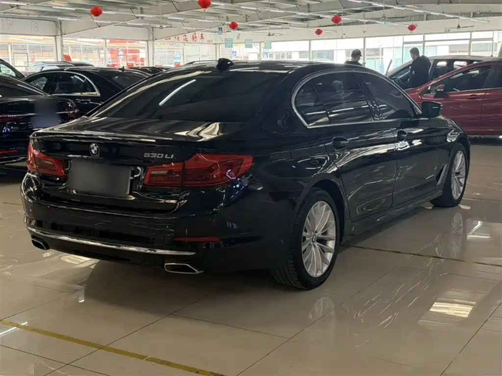 BMW 5 Series 2019 Facelift 530Li Premium Luxury Package фото 10