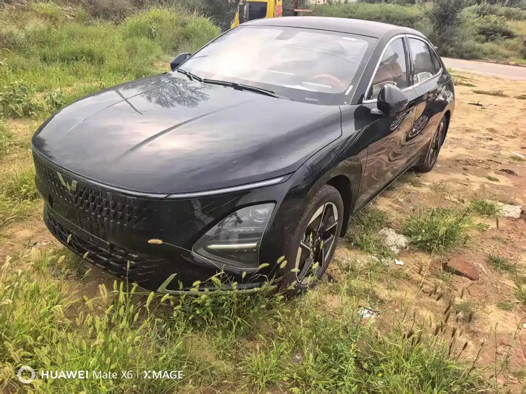Wuling Motors Wuling Xingguang 2026 2025 150km Smart Advanced