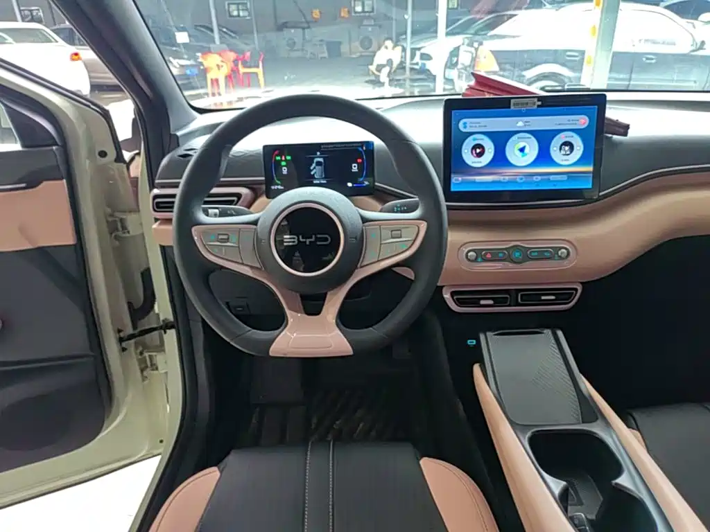 BYD Seagull 2026 2025 Smart Drive Edition 305km Vitality Version