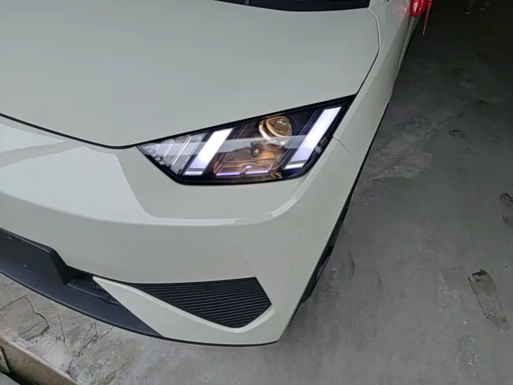 BYD Seagull 2026 2025 Smart Drive Edition 305km Vitality Version