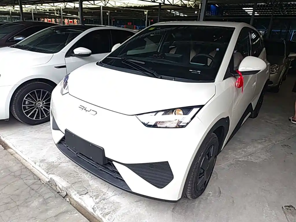 BYD Seagull 2026 2025 Smart Drive Edition 305km Vitality Version