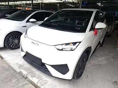 BYD Seagull