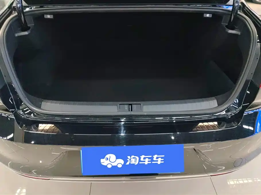 Volkswagen Magotan 2020 330TSI DSG Leading фото 4