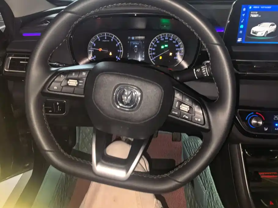 Changan Ruicheng CC 2021 2022 Blue Whale Edition 1.5T DCT Luxury