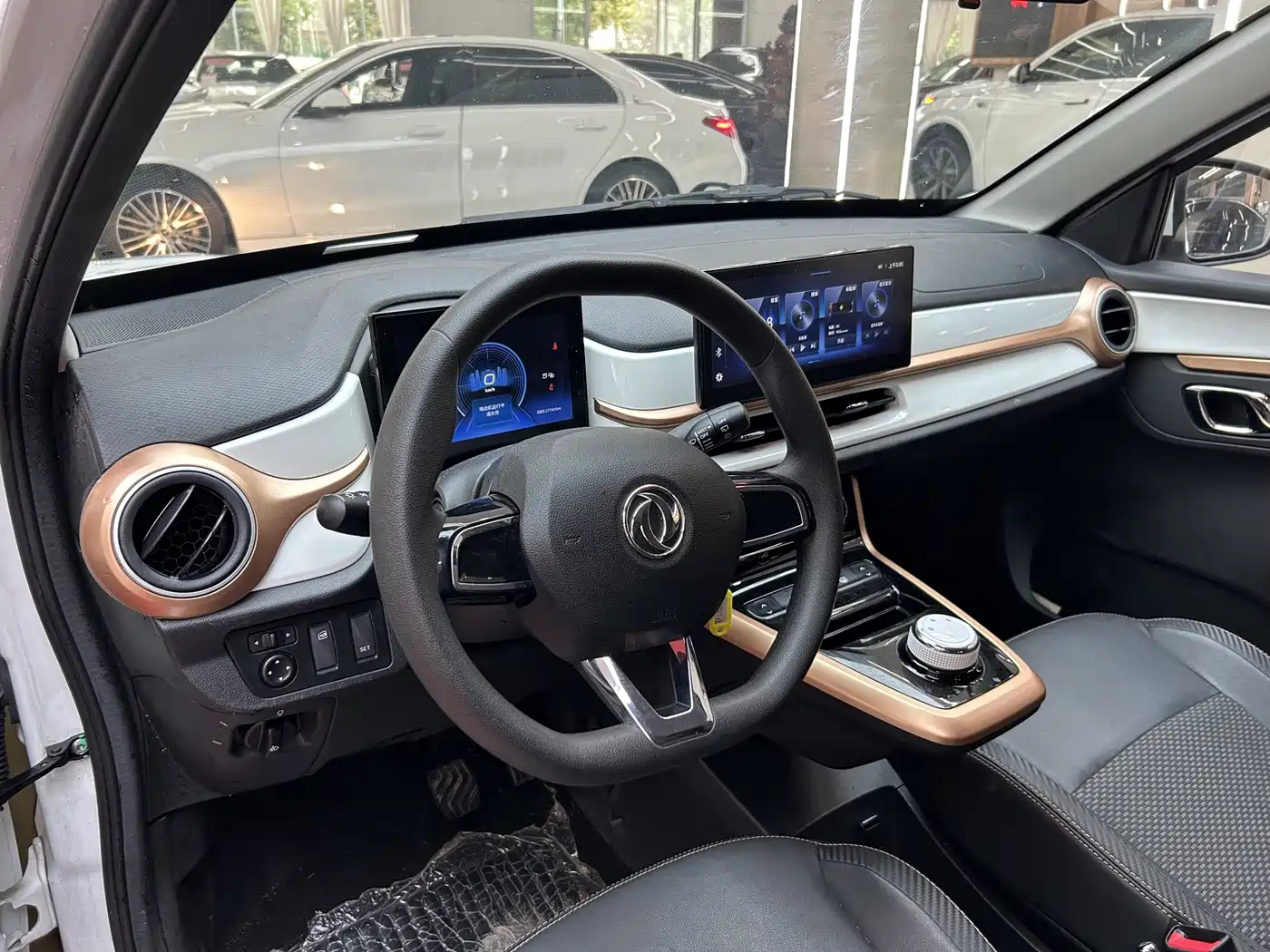 Dongfeng Yipai Nano BOX 2024 2022 Wind Chaser Edition 351KM Advanced