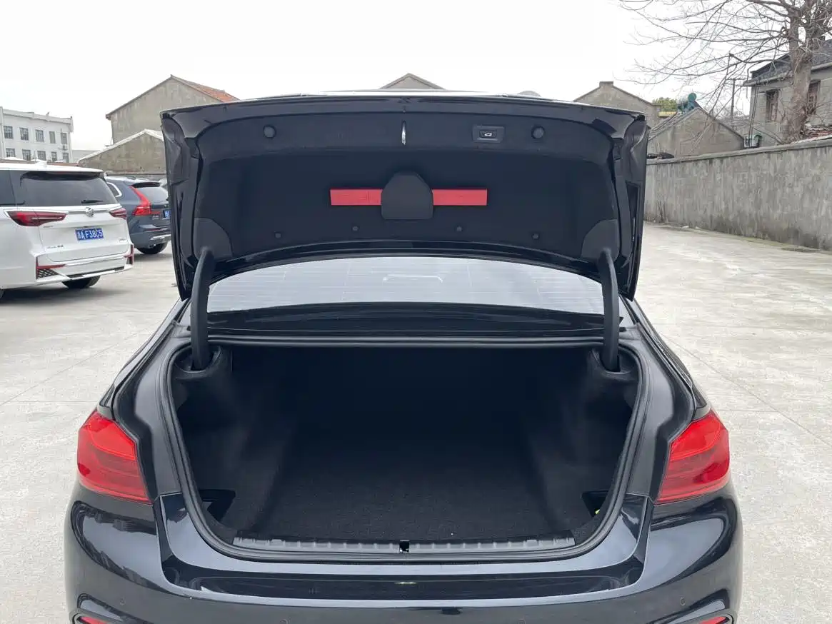 BMW 5 Series 2020 530Li Leading M Sport Package фото 16