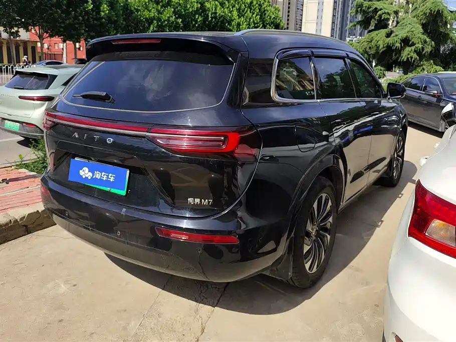 AITO Wenjie AITO M7 2022 1.5T RWD Comfort Edition фото 3
