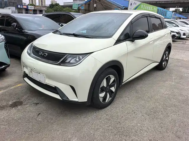 BYD Dolphin Слава, 420km, Свобода