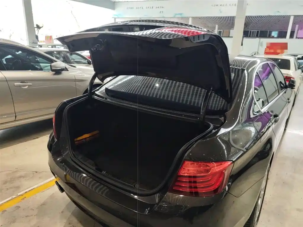 BMW 5 Series 2014 520Li Elegance фото 13