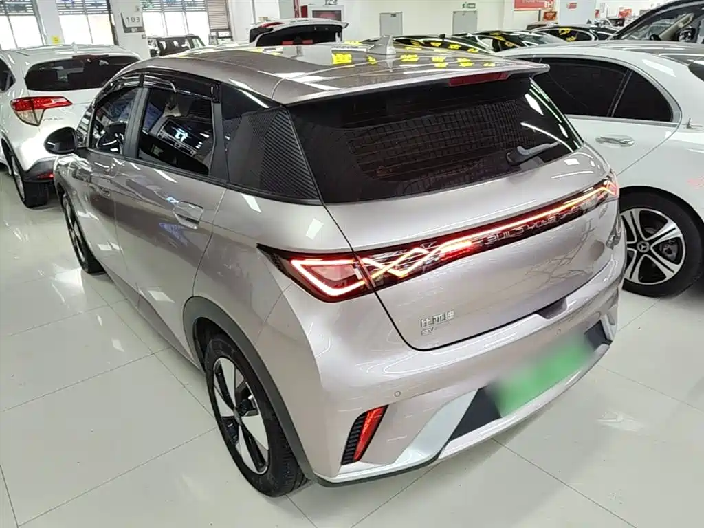 BYD Dolphin 2023 420km Freedom Edition фото 23
