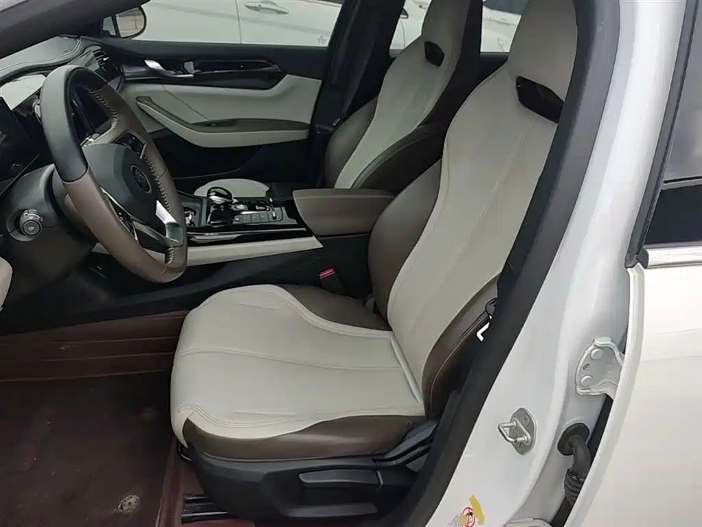 BYD Qin PLUS 2023 Champion Edition DM-i 55KM Leading фото 15