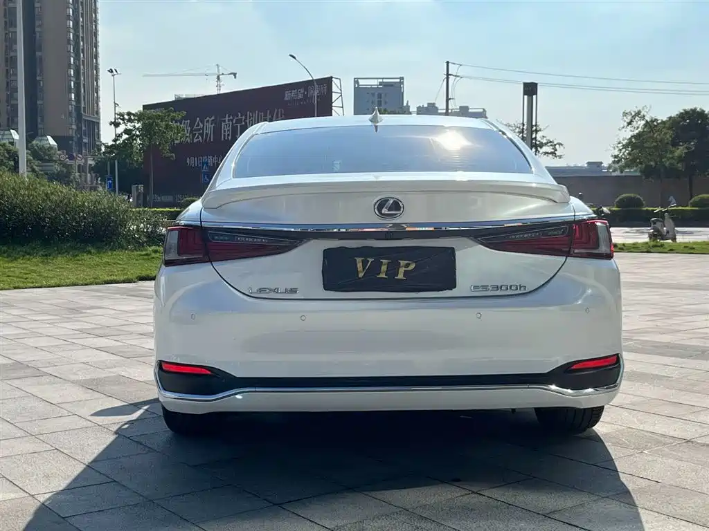 Lexus ES 2020 Model 300h Excellence Edition фото 4