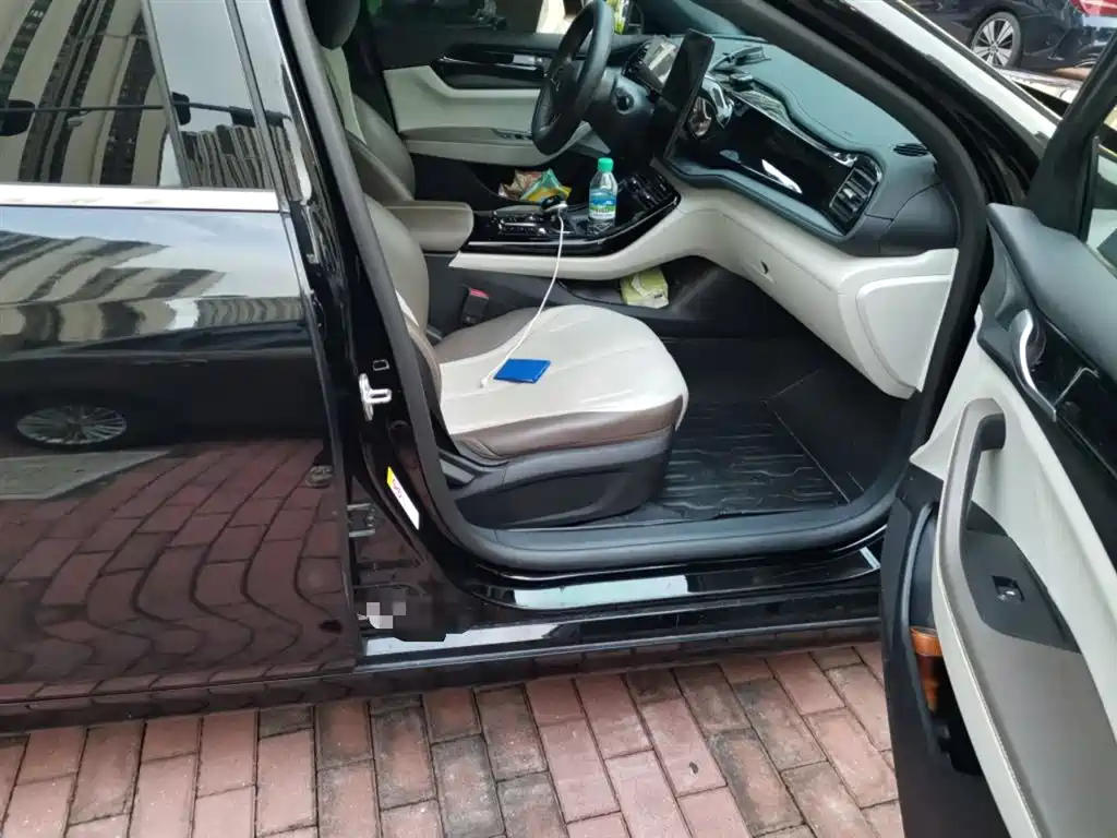 BYD Qin PLUS 2023 Champion Edition DM-i 55KM Leading фото 20