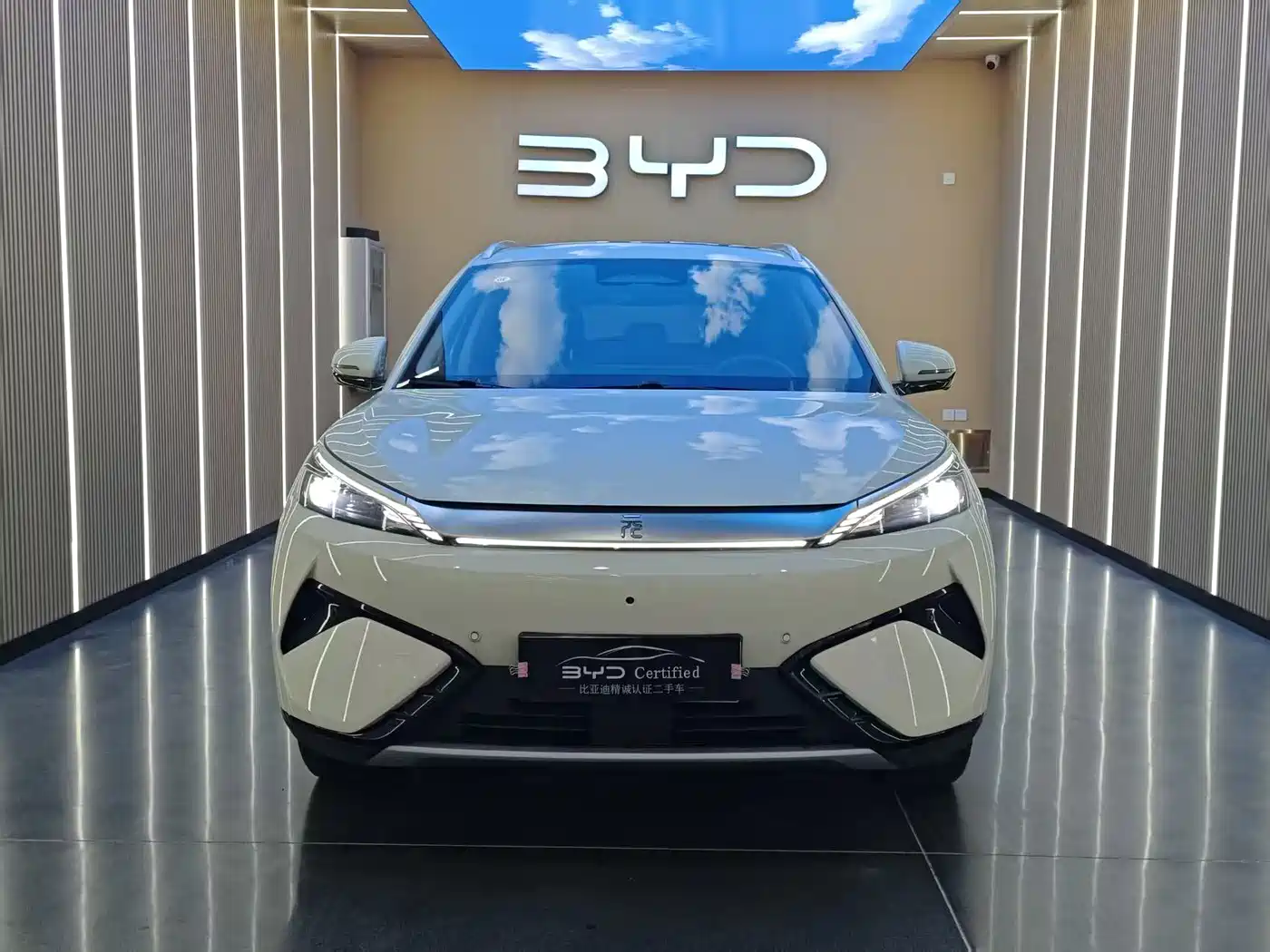 BYD Yuan PLUS 2025 2025 Smart Drive 510KM Surpass Edition