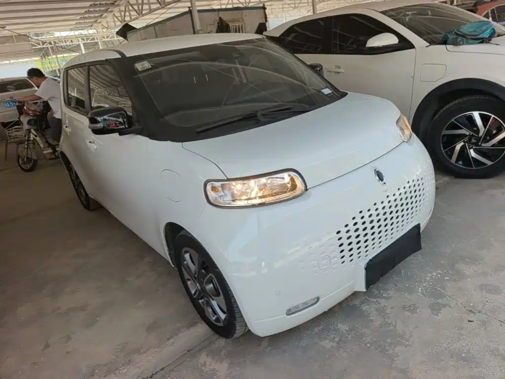 Ora White Cat 2021 2020 401km Flagship Model