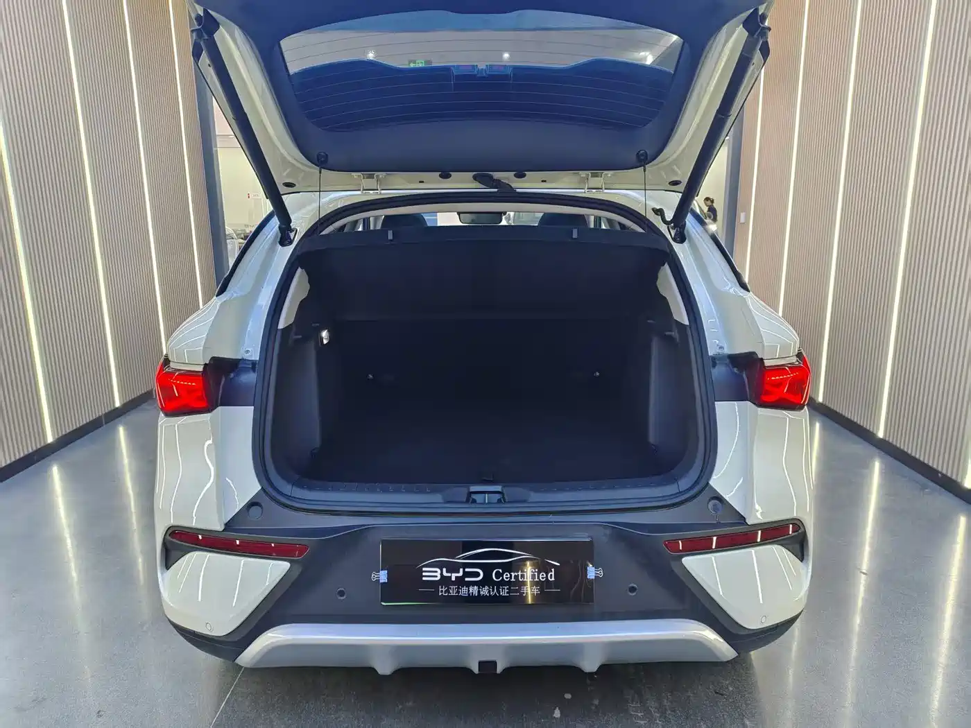 BYD Yuan PLUS 2025 2025 Smart Drive 510KM Surpass Edition