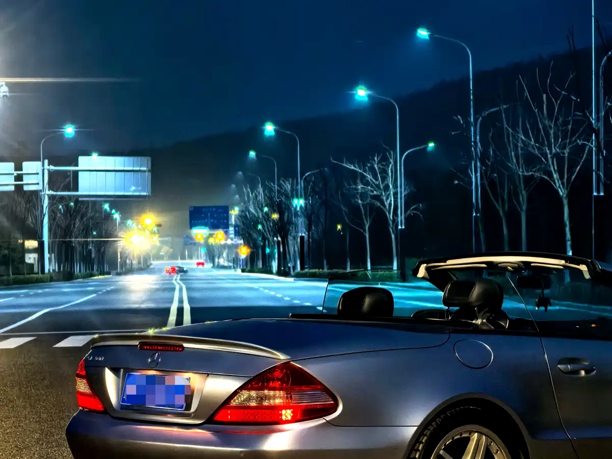 Mercedes-Benz SL-Class 2010 SL 300 фото 9