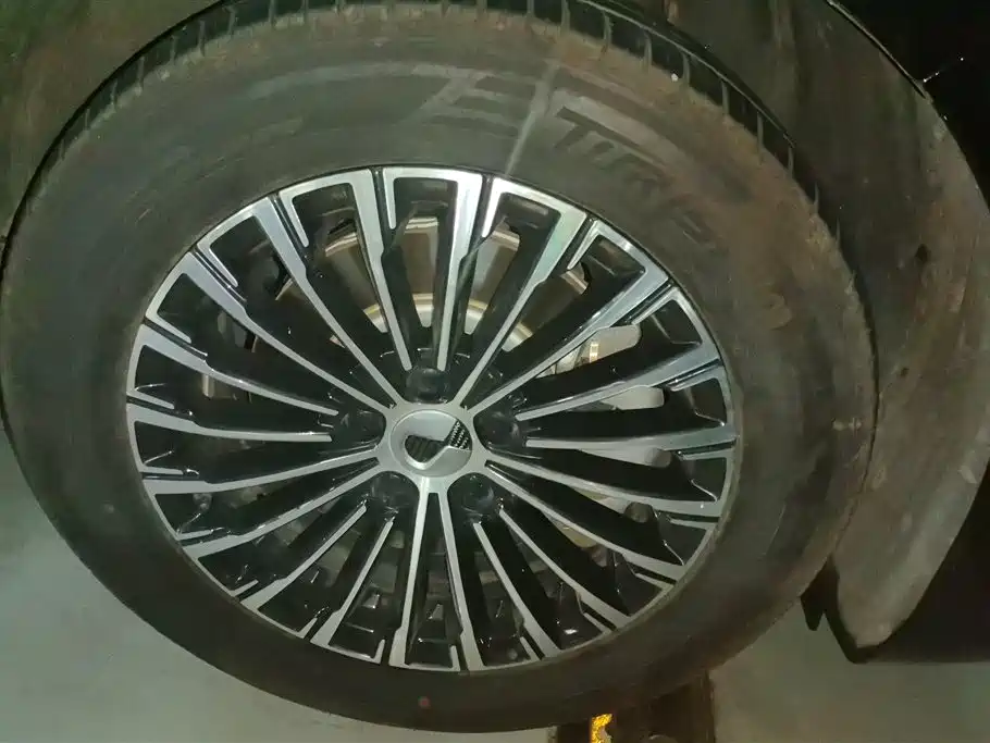 Denza D9 2022 DM-i 970 All-Wheel Drive Honor Edition фото 6