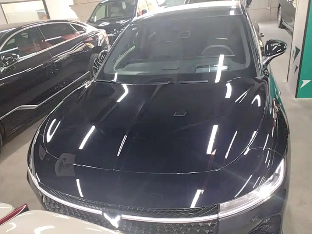Voyah Auto VOYAH Zhuiguang 2024 2024 PHEV AWD Ultra Long Range Flagship