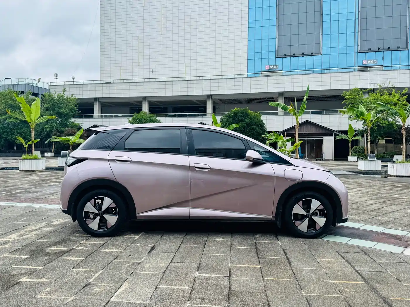 BYD Dolphin 2023 420km Freedom Edition фото 3