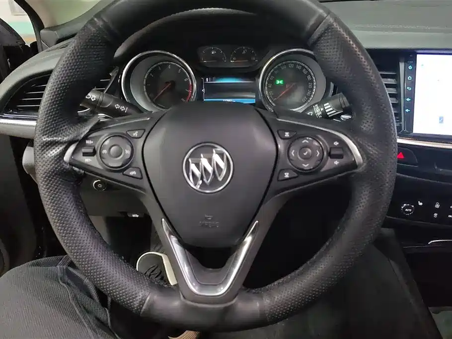 Buick Regal 2017 20T Elite Type фото 15