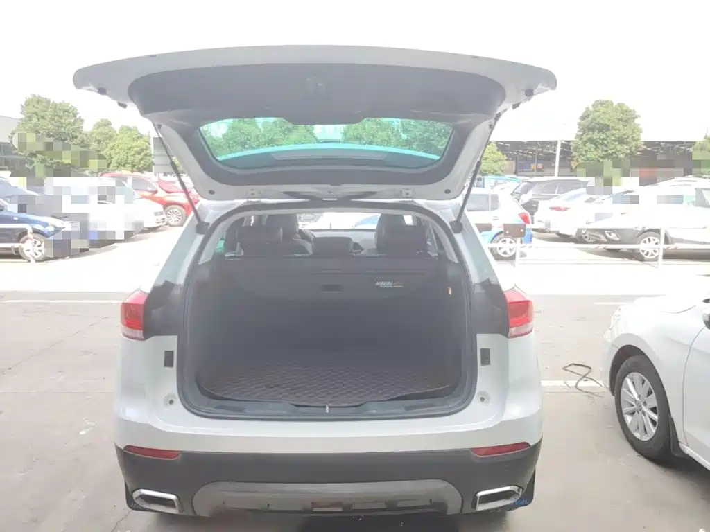 Haval H4 2019 2019 1.5GDIT DCT Luxury Smart Connection China VI