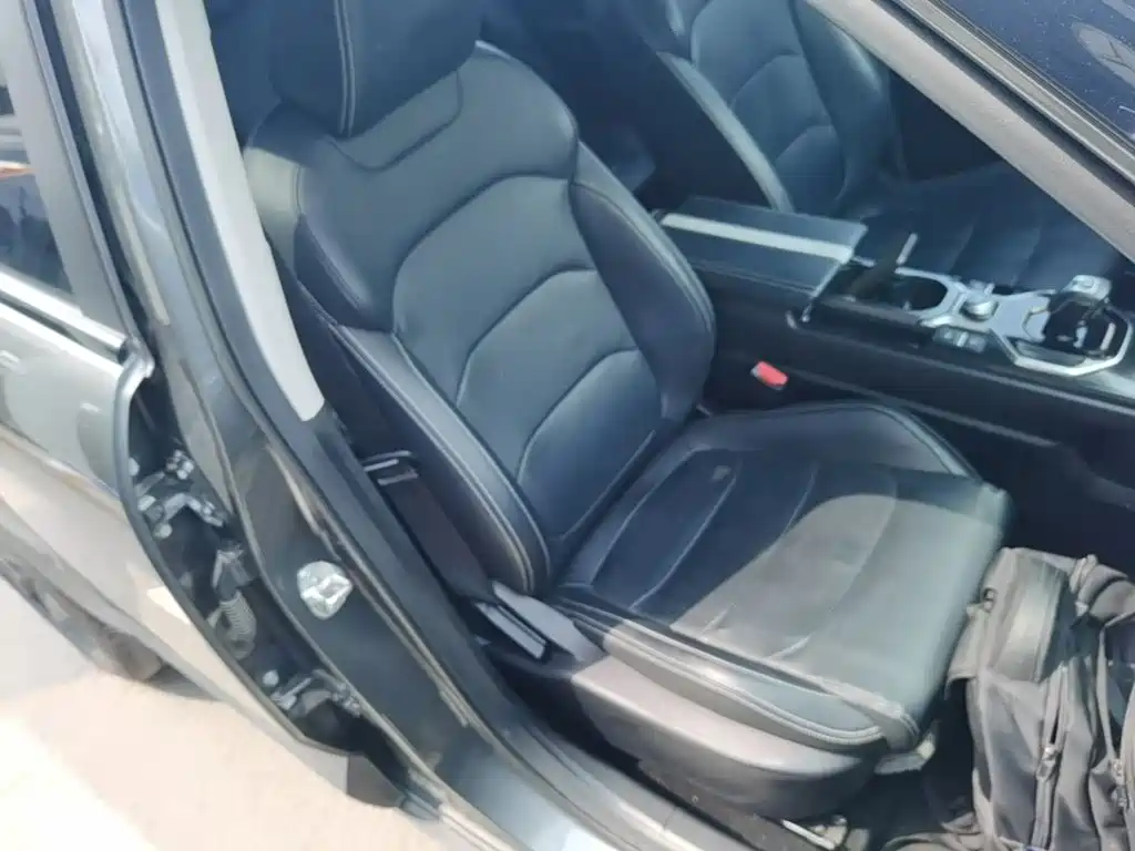Фото 25 - Geely ICON