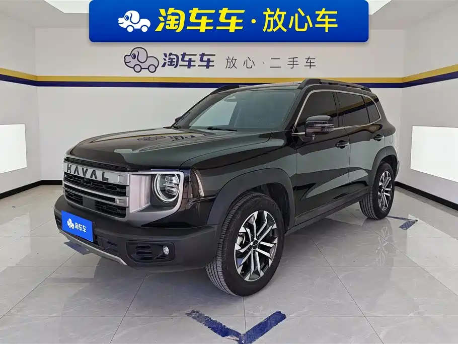 Haval Big Dog 2024 1.5T DCT Border Collie Edition