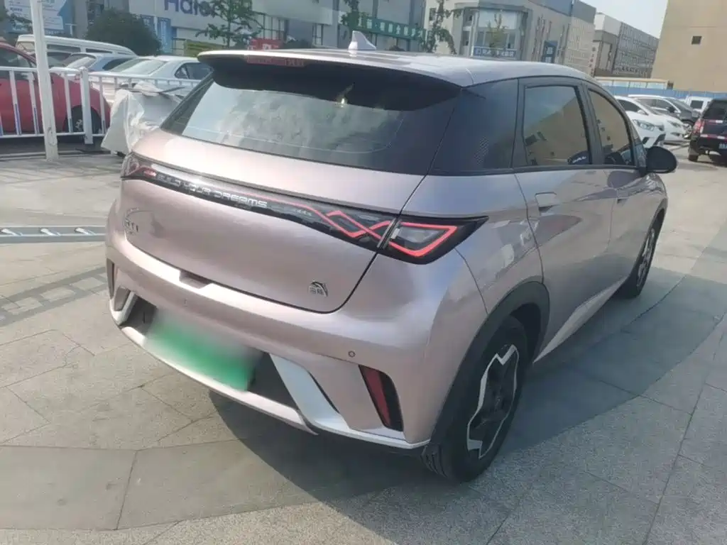 BYD Dolphin 2022 2021 Model 405km Fashion Edition