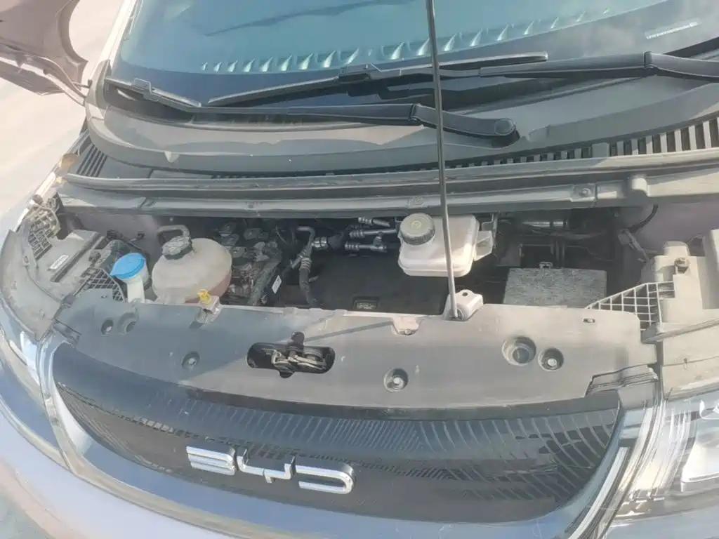 BYD Dolphin 2022 2021 Model 405km Fashion Edition