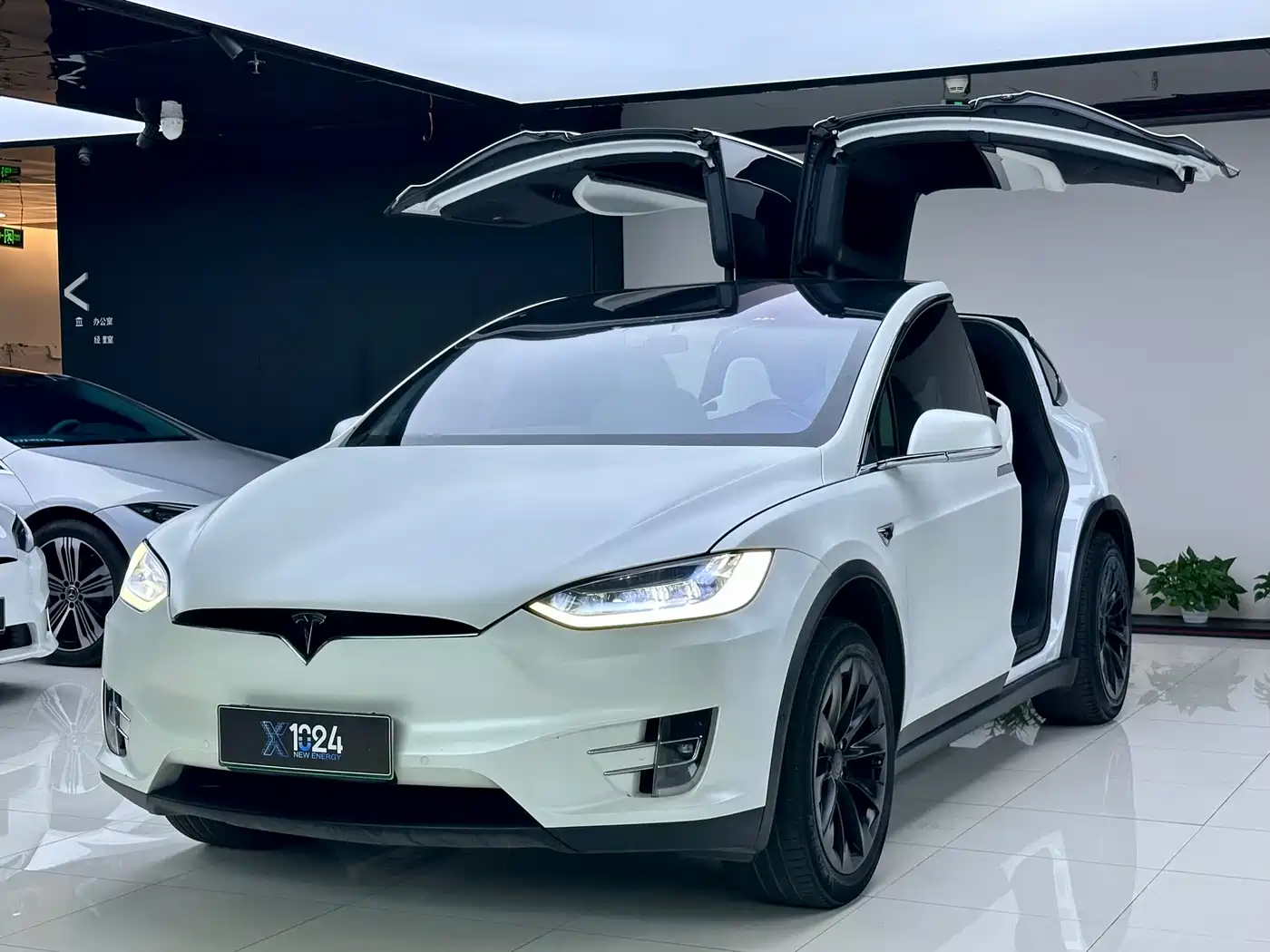 Tesla Model X 2020