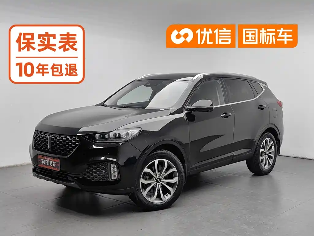 WEY VV6 2019 2020 2.0T 2WD Smart Protection+