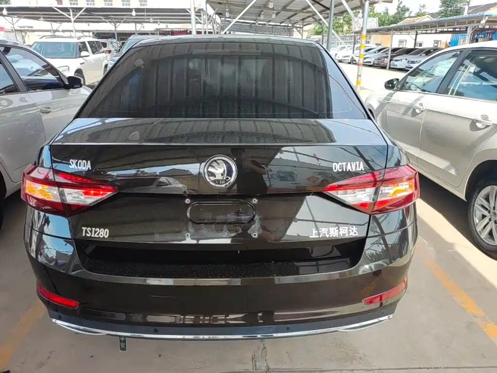Škoda Octavia 2018 TSI280 DSG Luxury Edition фото 6