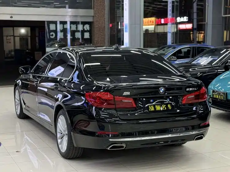 BMW 5 Series 2020 530Li Leading Luxury Package фото 6