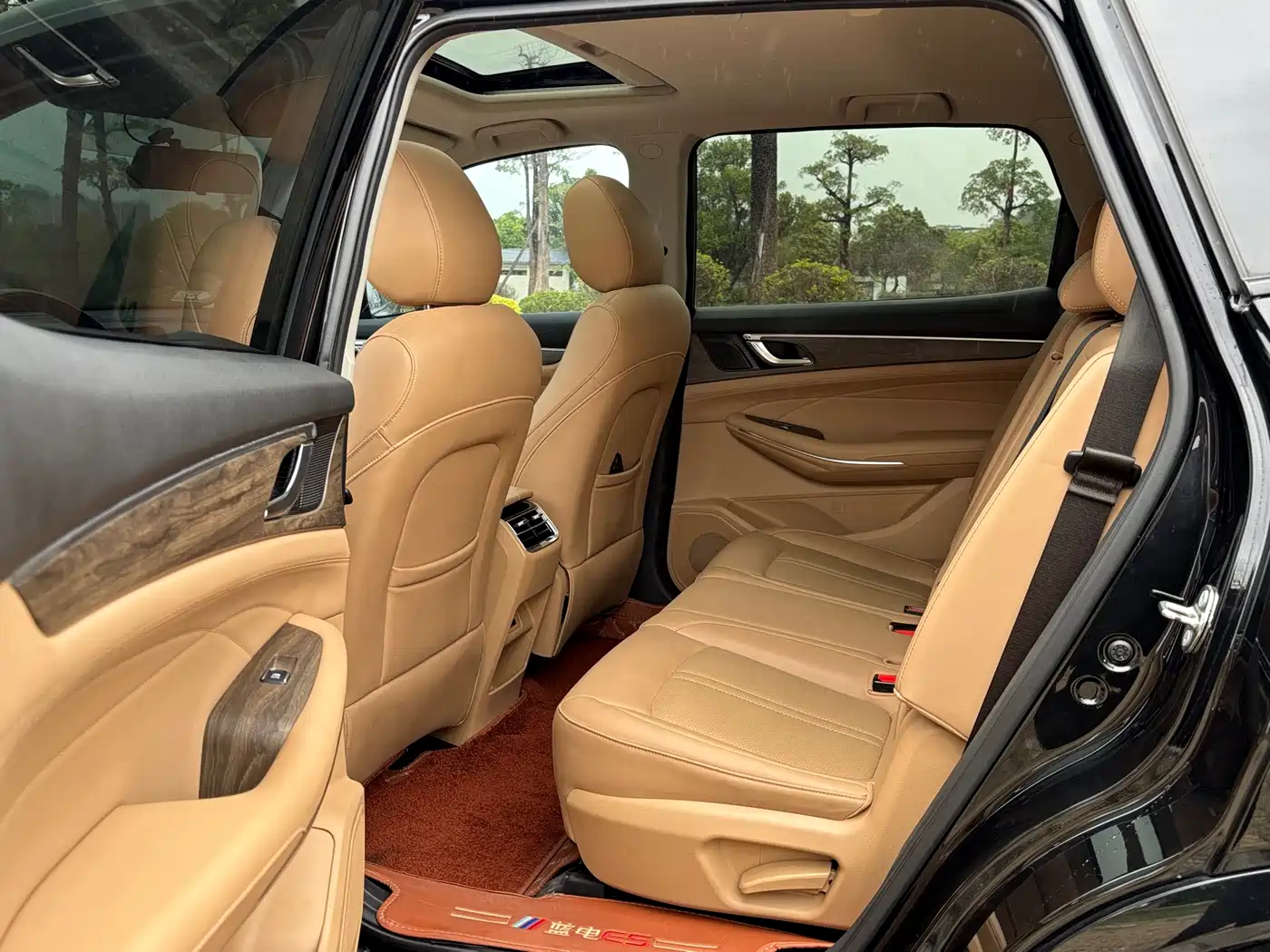 Landian E5 2024 2024 Glory Edition 100KM Comfort Type 7-Seater