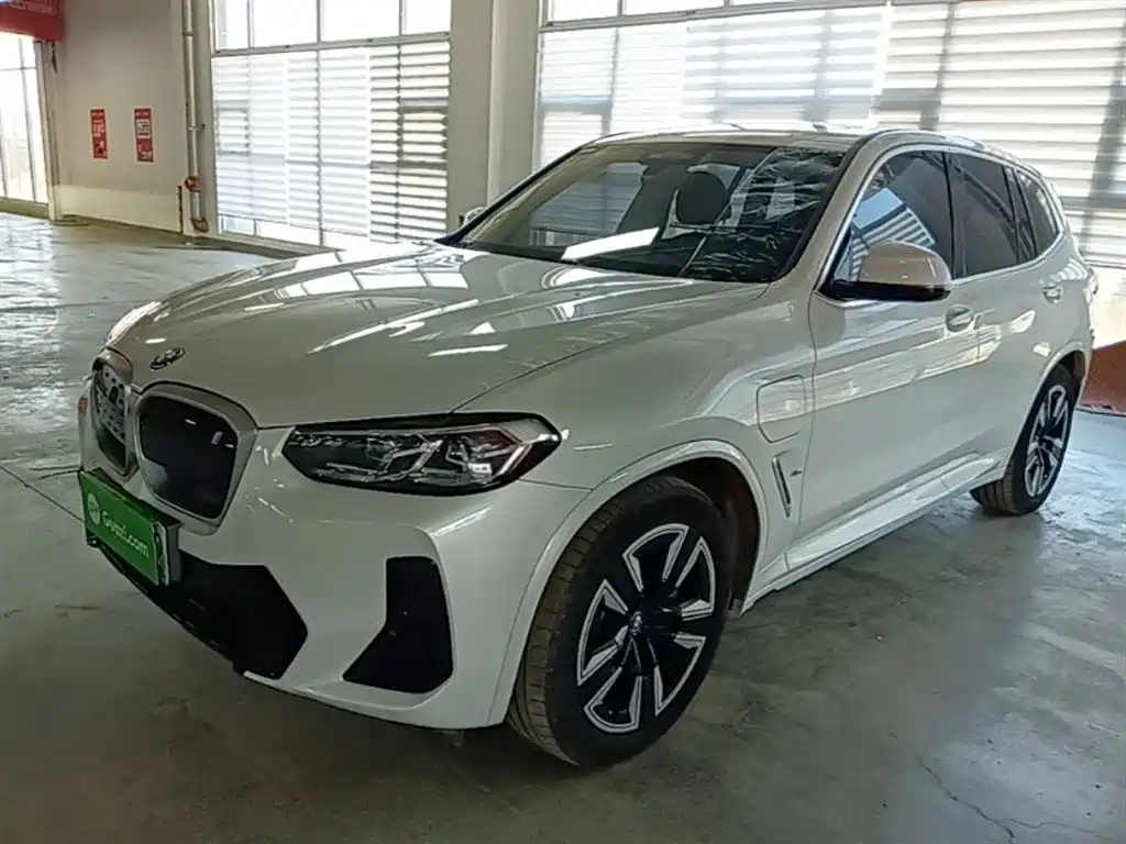 BMW iX3 2023 Leading Type