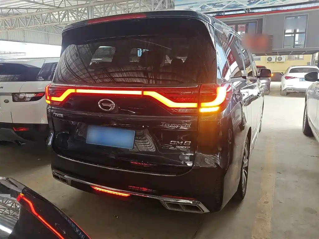 GAC Trumpchi Trumpchi M8 2020 Pilot 390T Premium Edition фото 6
