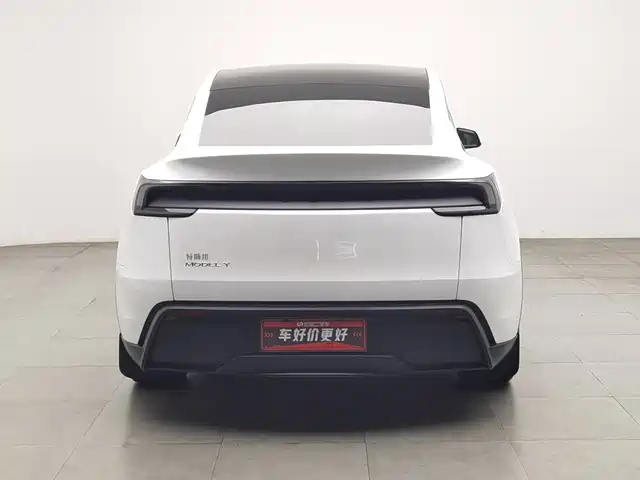 Tesla Model Y 2025 Rear-Wheel Drive — фото 4