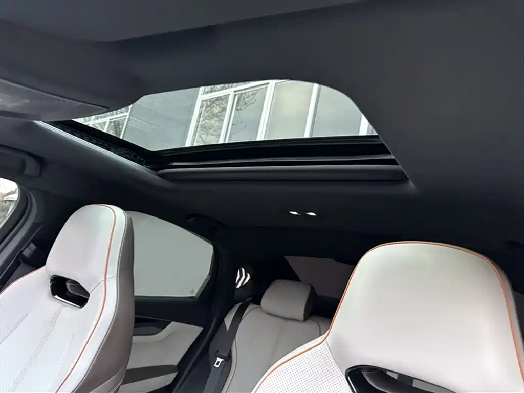 BYD Qin PLUS 2023 Champion Edition DM-i 120KM Excellence фото 9