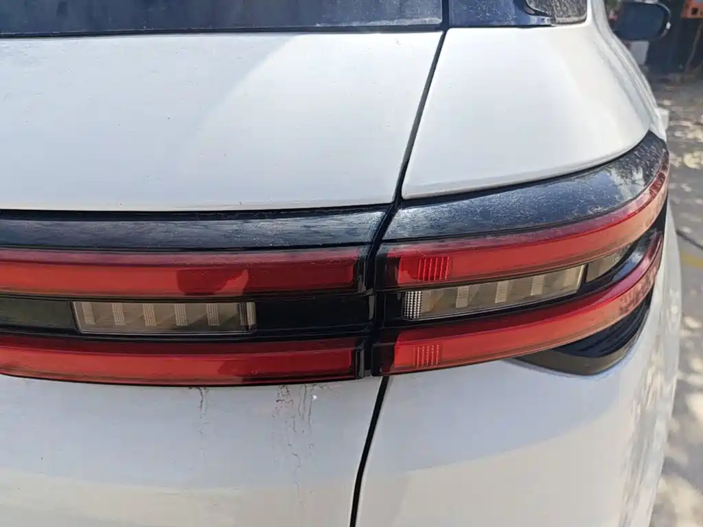 Changan CS55 PLUS 2020 2021 Blue Whale Edition 1.5T DCT Premium