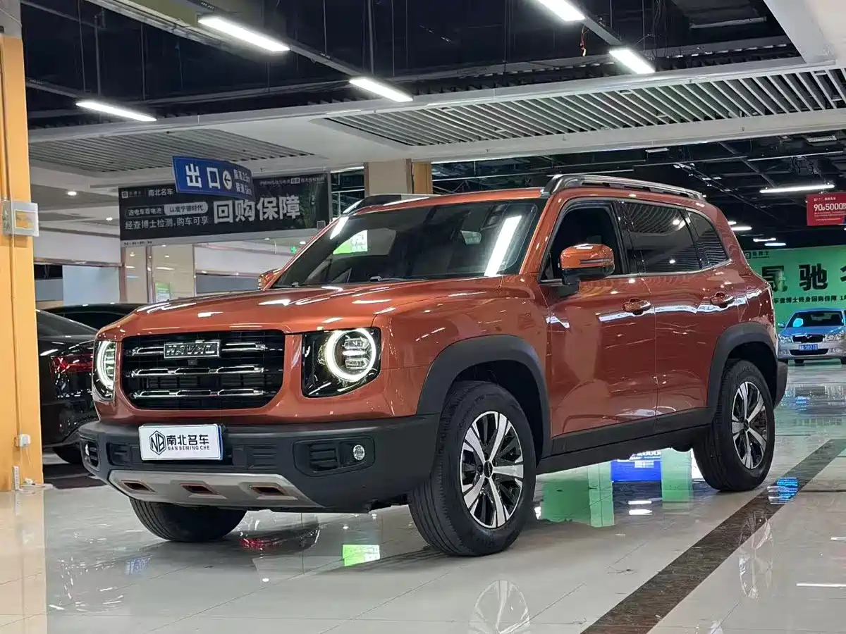 Haval Big Dog 2021 1.5T DCT 2WD Labrador Edition фото 4