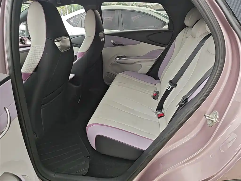 BYD Dolphin 2024 Glory Edition 420km Freedom Edition фото 17