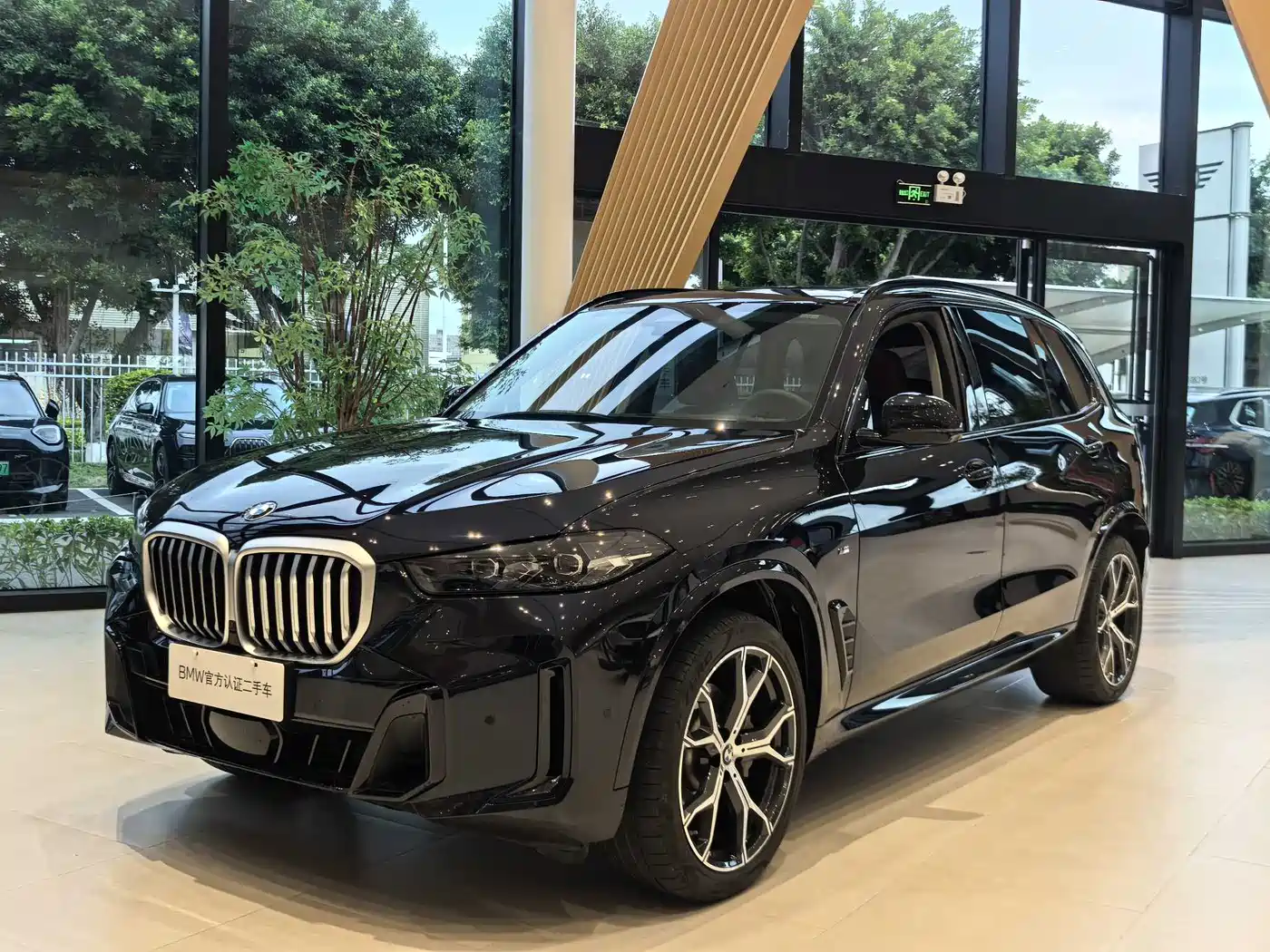 BMW X5 2023 xDrive 30Li Premium M Sport Black Night Package