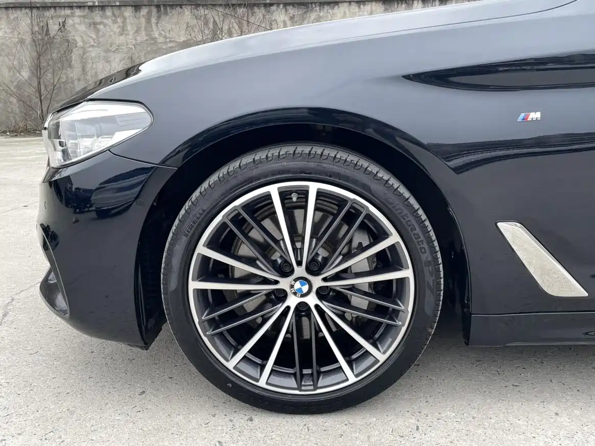 BMW 5 Series 2020 530Li Leading M Sport Package фото 11