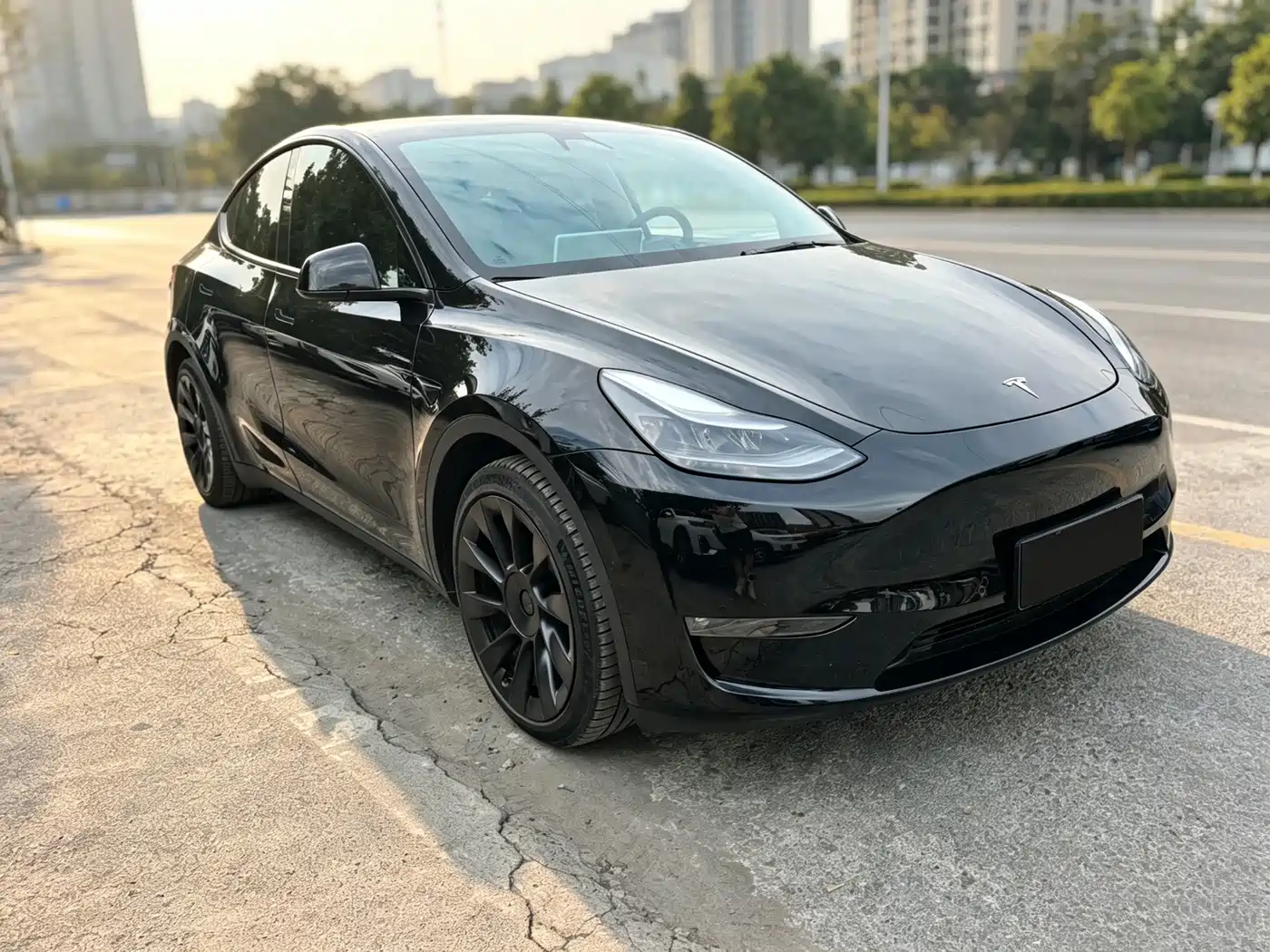Tesla Model Y 2021 2021 Standard Range Rear-Wheel Drive