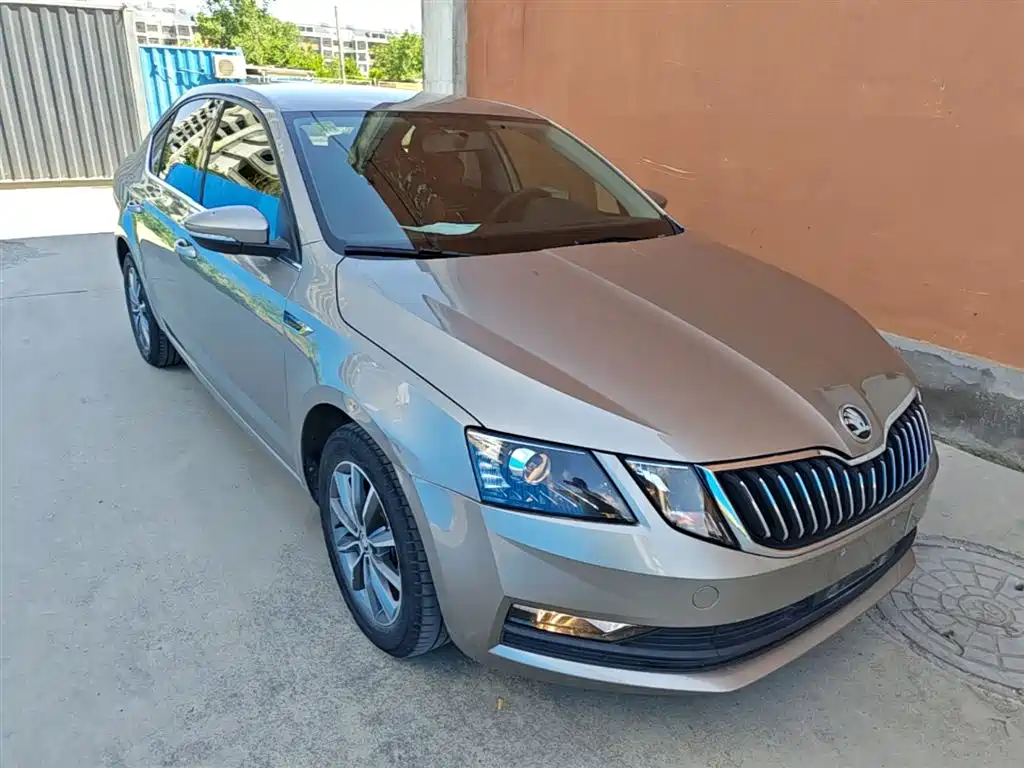Škoda Octavia 2019 1.5L Automatic Smart Comfort China VI фото 4