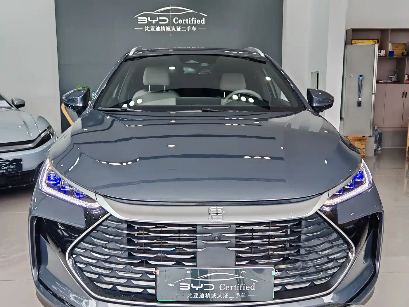 BYD Tang New Energy 2024 DM-i Honor Edition 112KM Premium фото 2