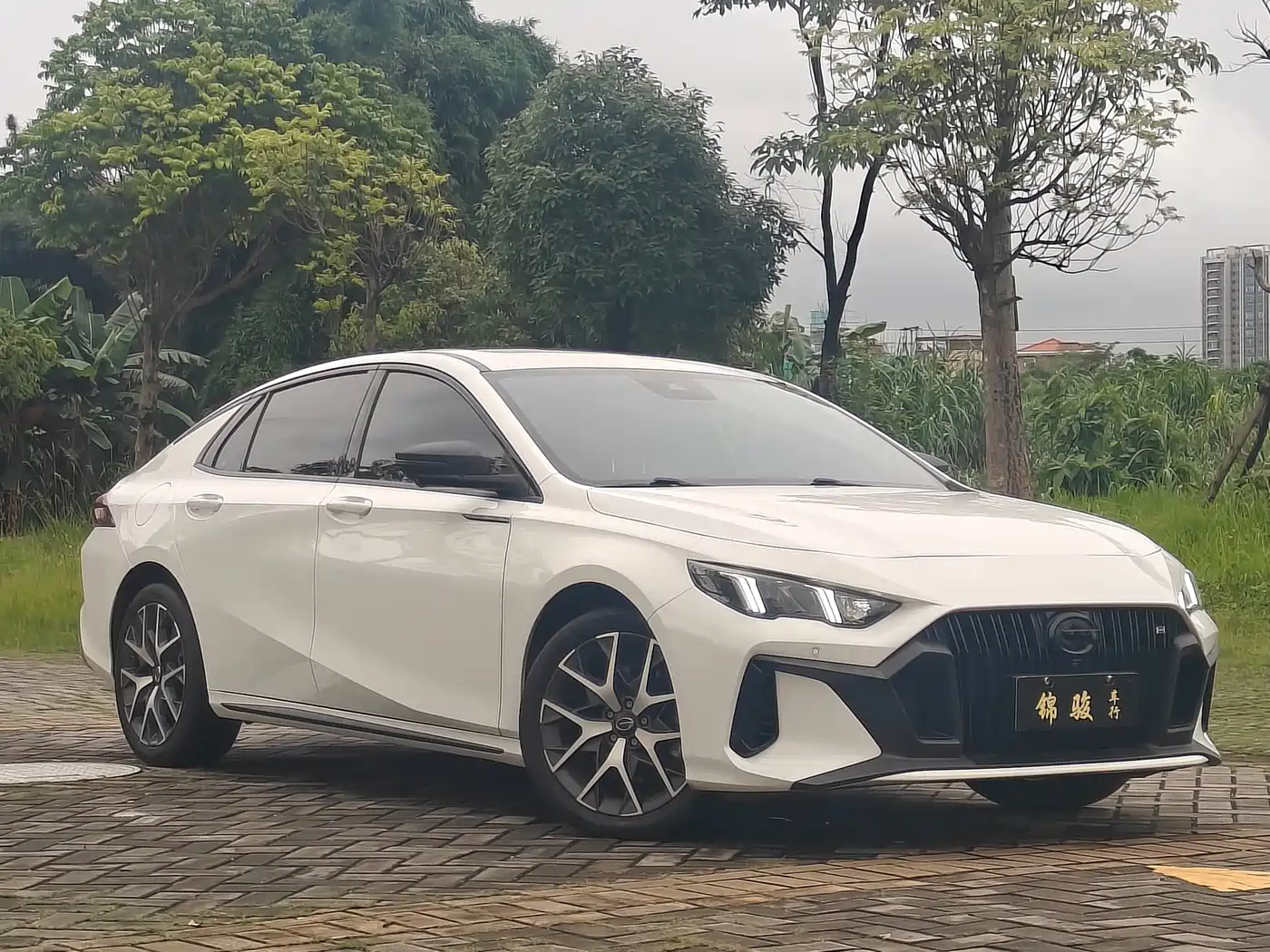 GAC TRUMPCHI SHADOW LEOPARD