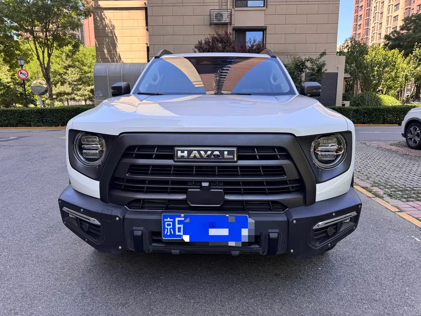 Haval Big Dog 2024 2.0T DCT Chinese Rural Dog Edition фото 2