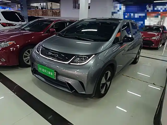 BYD Dolphin 420km, Стиль